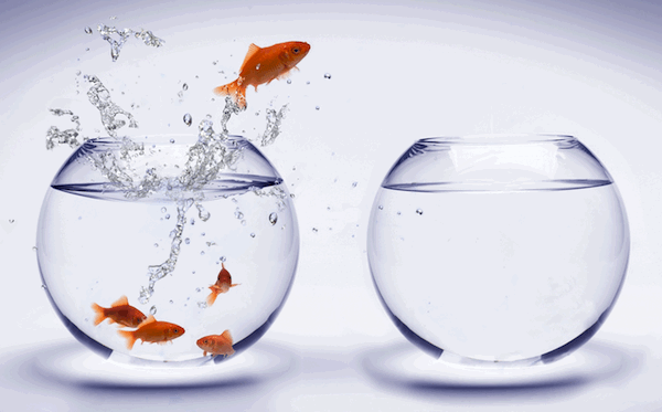 At First You Might Feel Like A Fish Out Of Water