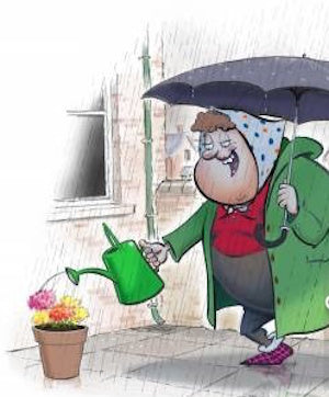 Do You Water Your Flowers When It Is Raining?