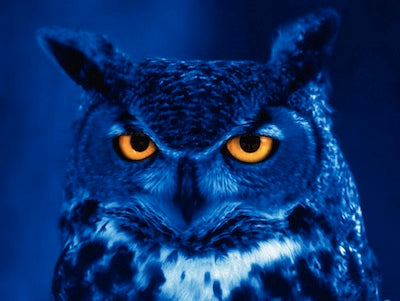Are You A Nighttime Eater?