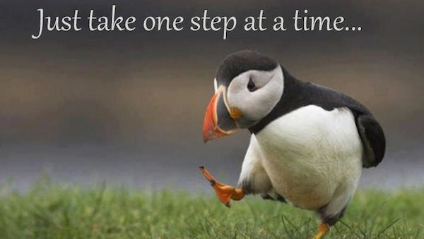 Fourteen Strategies From My Book