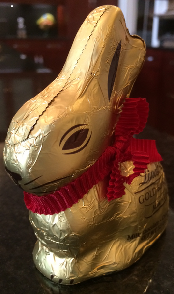 Does This Bunny Scare You??